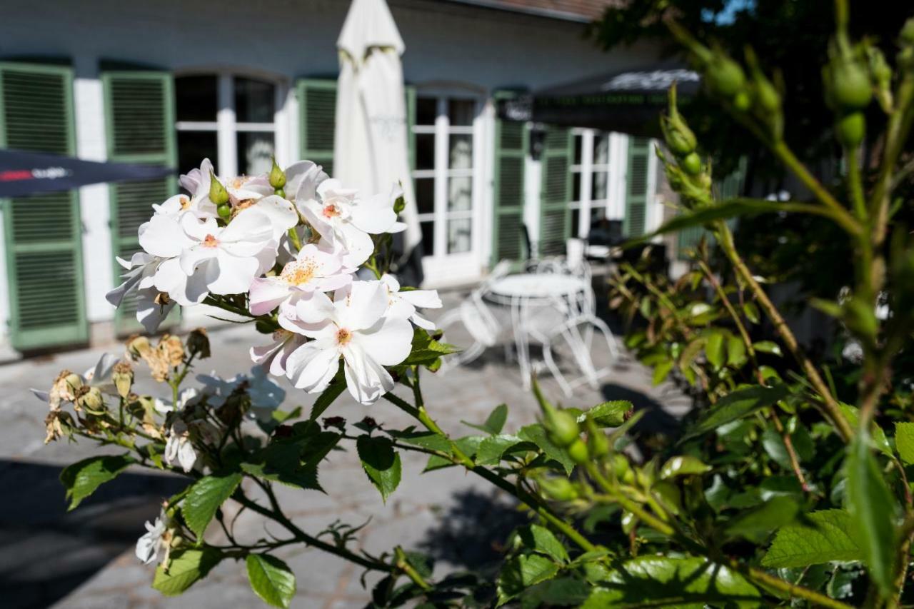 Écaussinnes-dʼEnghien B&B El Tyu المظهر الخارجي الصورة